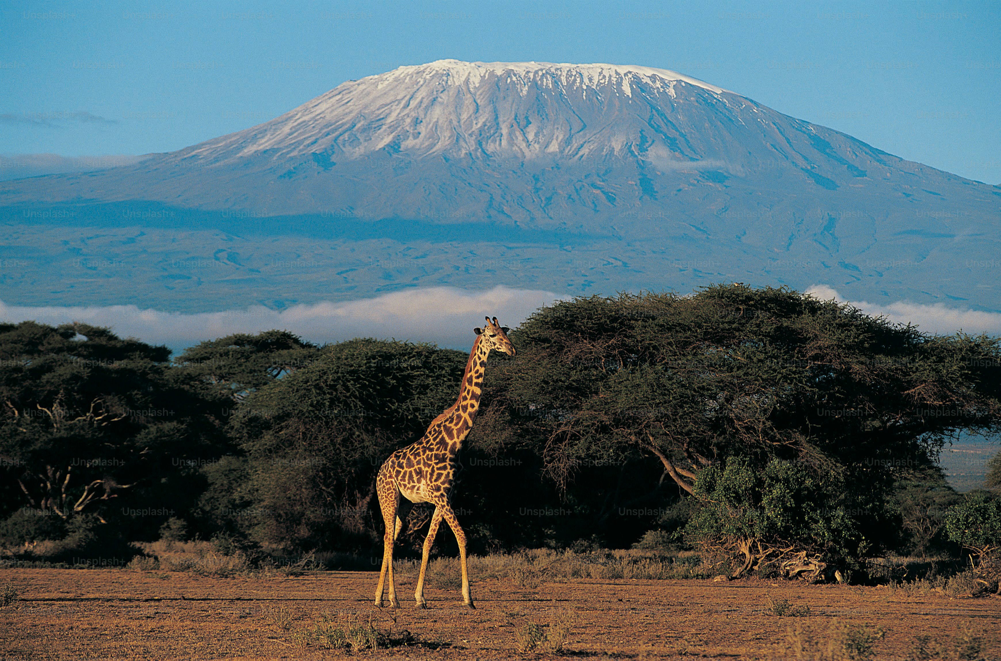 Kenya